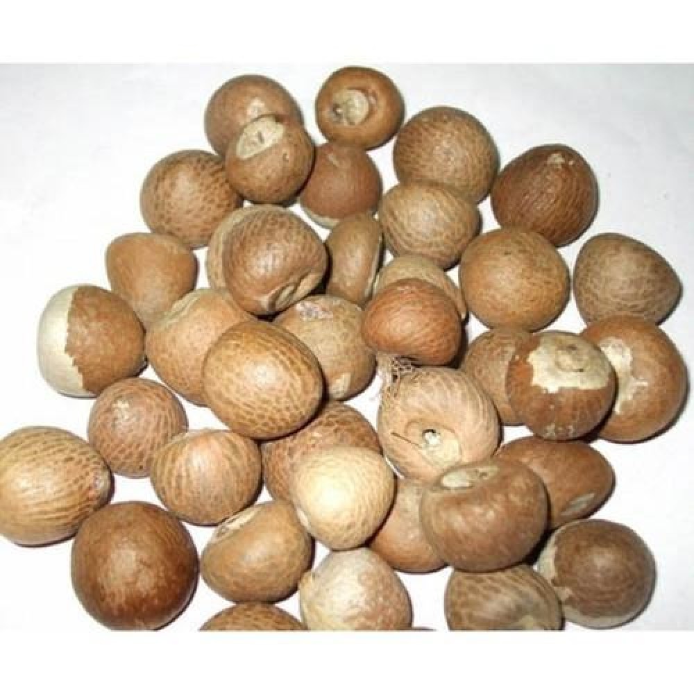 Raw Betel Nuts (250 Grams)