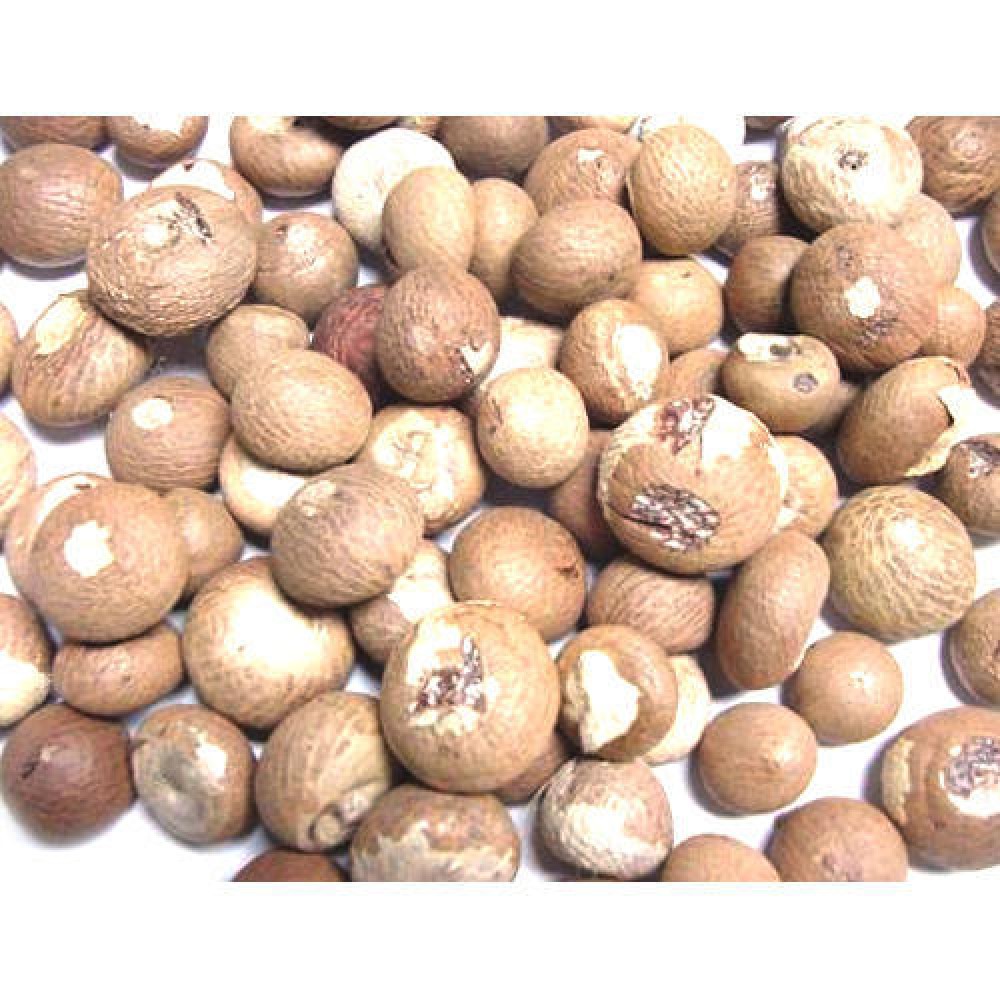 Raw Betel Nuts (250 Grams) - Image 2
