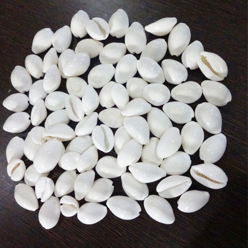 Pala Gavvalu (9 Pieces) - Image 2