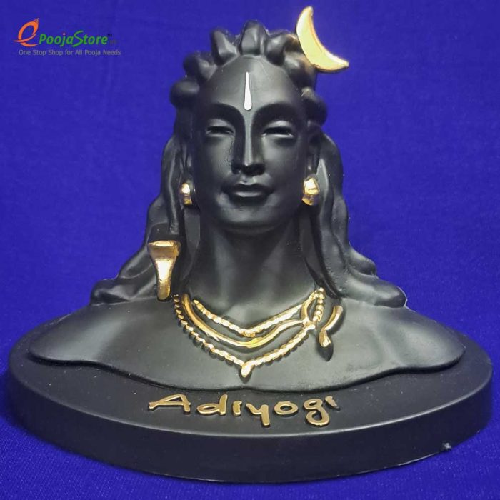 Adiyogi Statue - Image 5