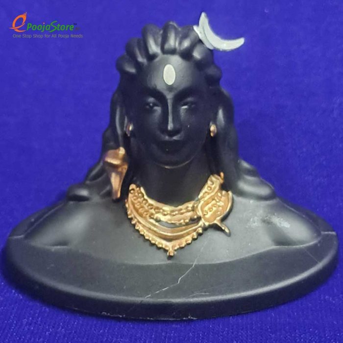 Adiyogi Statue - Image 6