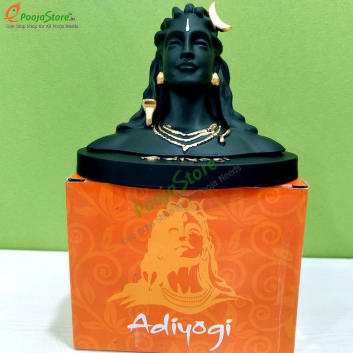 Adiyogi Statue - Image 3
