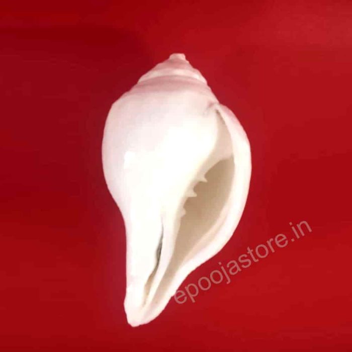 Abhishekam Shanku - Image 2