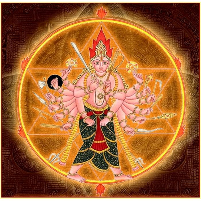 Sudarshana Homa Samagri Kit