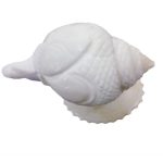 Ganesha Shanku (Shell) - Image 2