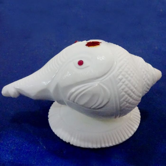 Ganesha Shanku (Shell) - Image 3