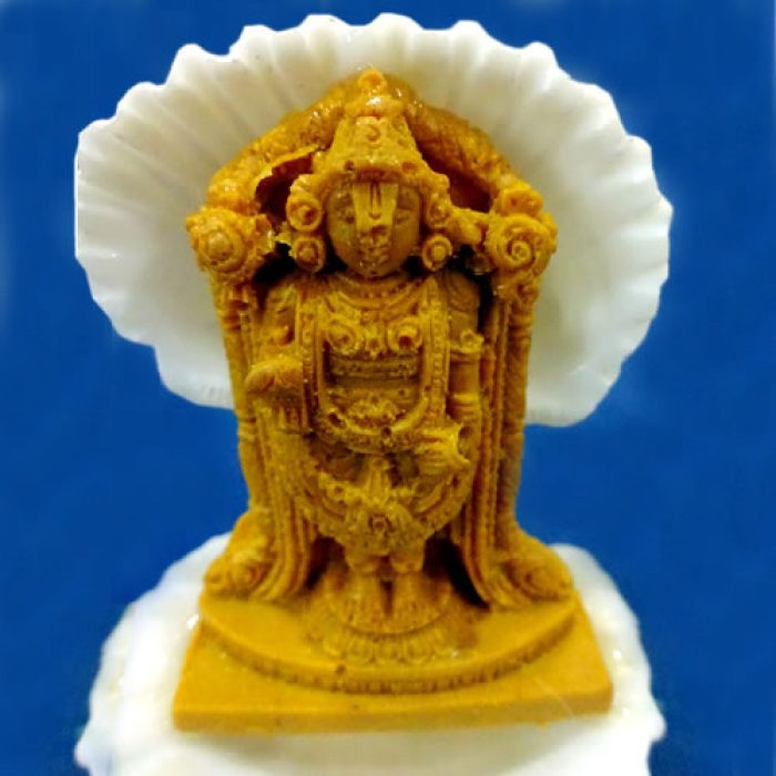 Lord Balaji in Shell (Big Size) - Image 2