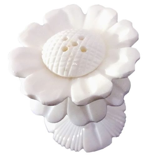 Shell Agarbathi Stand