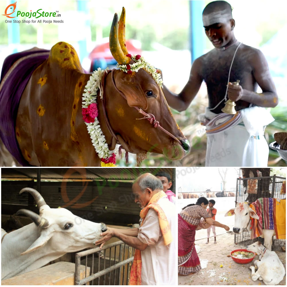 Go Seva - Image 2