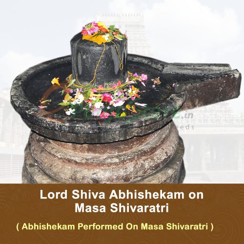 Lord Shiva Abhishekam On Masa Shivaratri